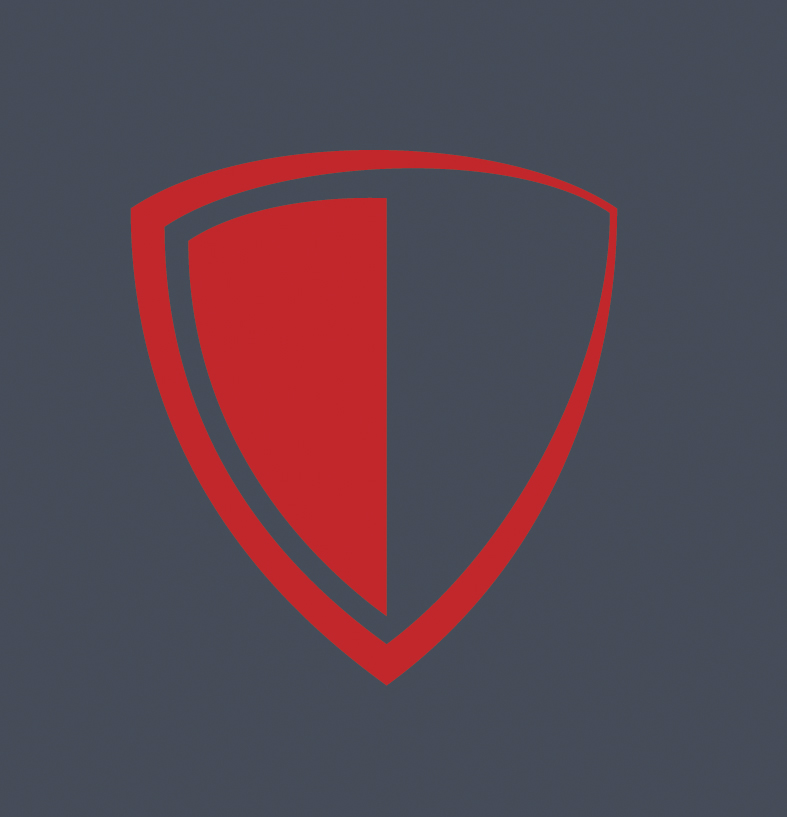 VECTOR Logo videoalarm